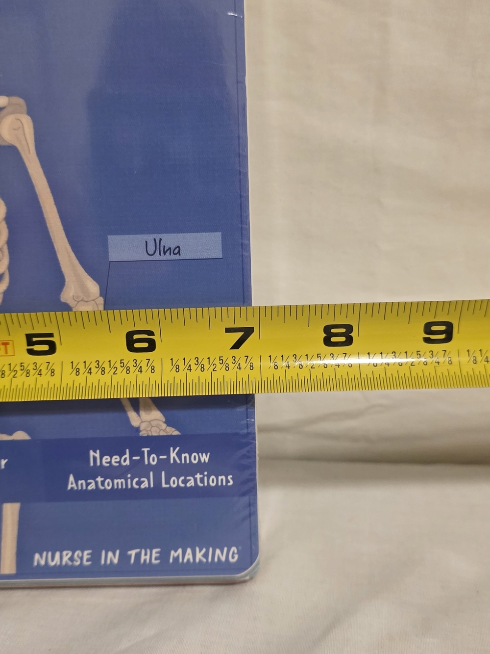 Human Anatomy Label Lab Workbook Medical Students 100+ Illustrations Laminated - Picture 4 of 5